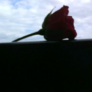 Meet your Posher, Cassidy